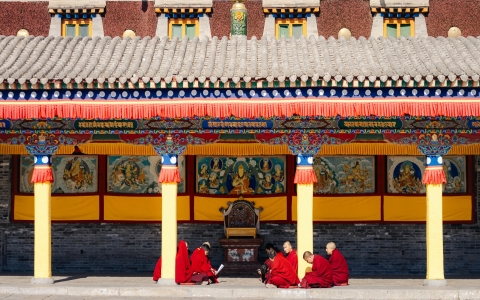 塔尔寺"image"