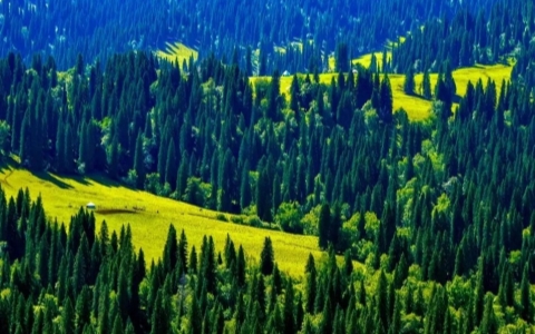 阿勒泰沿途风景