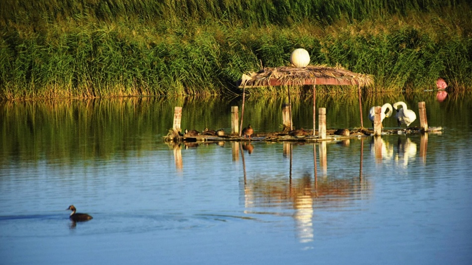 张掖湿地公园