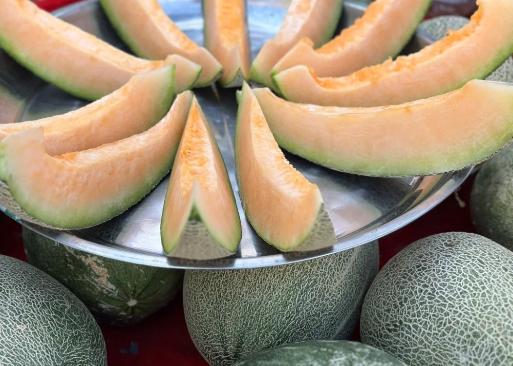新疆哈密瓜 新疆哈密瓜