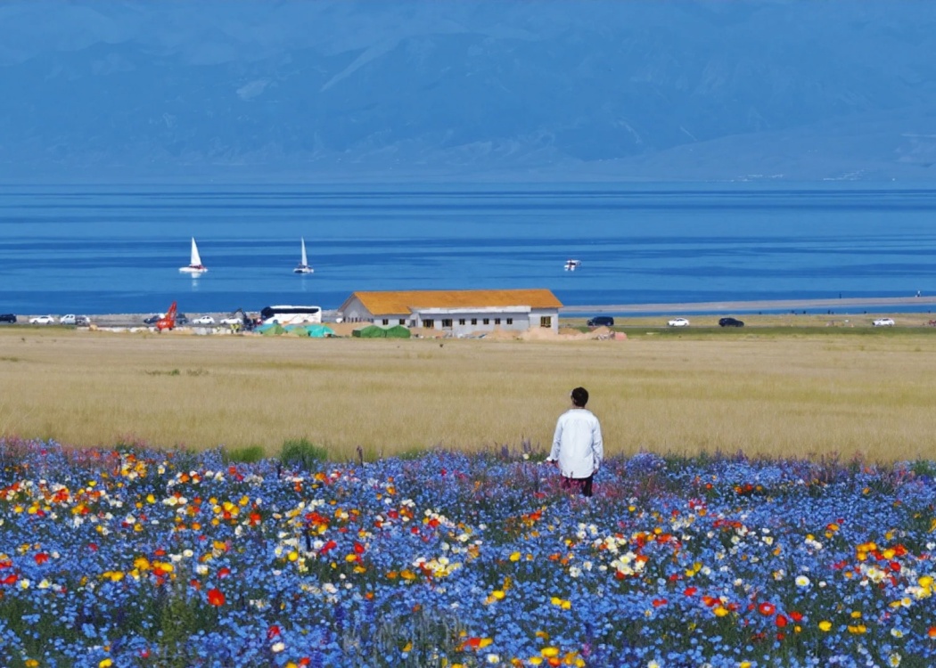 6月的赛里木湖边 6月的赛里木湖边
